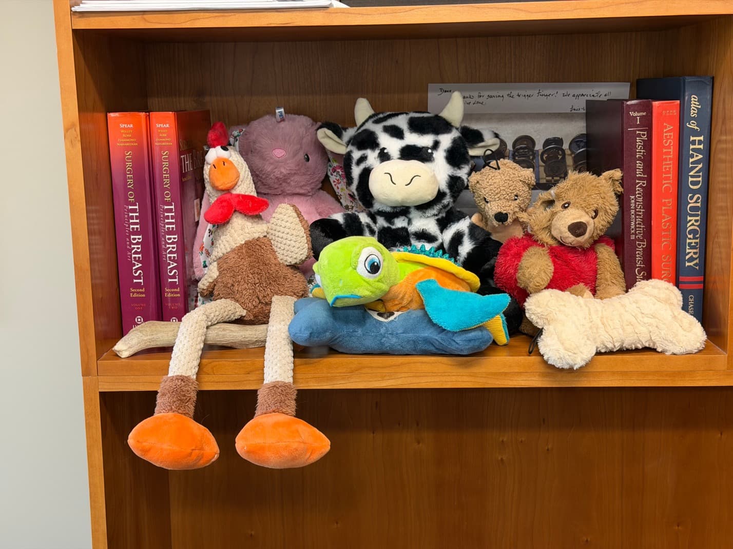 Rosco with his stuffed animal work friends at the office
